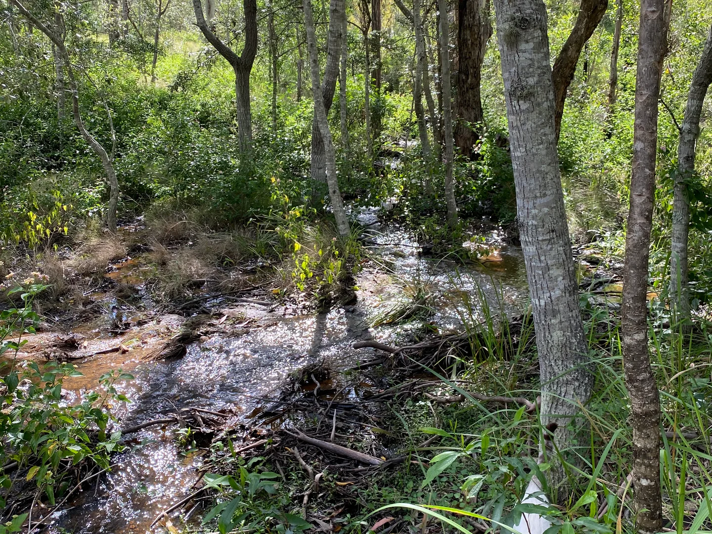 Additional image 20 of 33 Forest View Drive, Brooklands QLD 4615