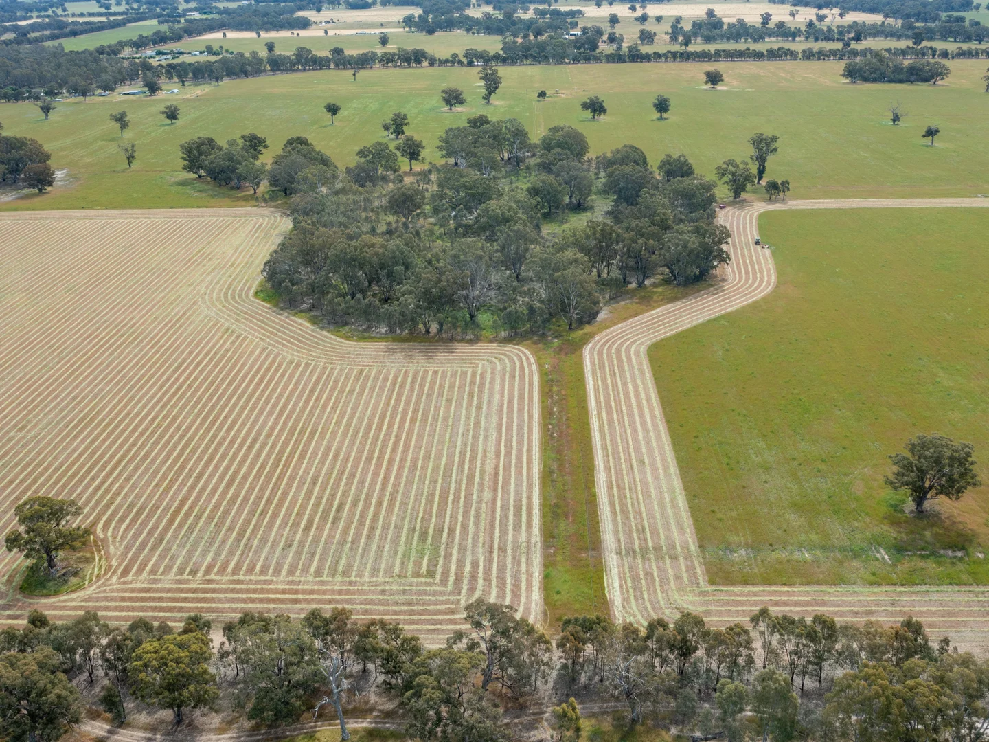 Additional image 7 of 740 Boland Road, Boorhaman VIC 3678