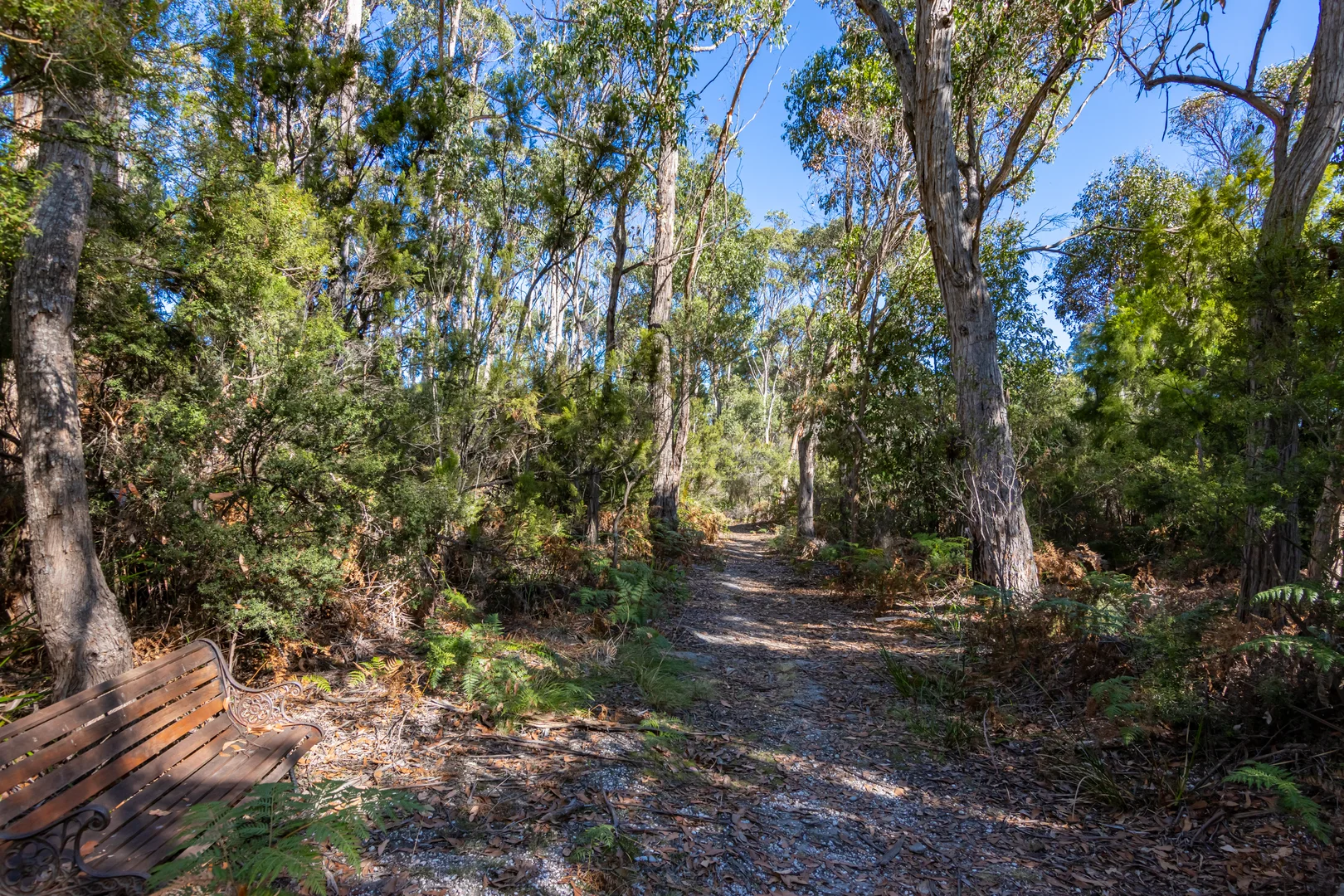 Additional image 4 of Eggs And Bacon Bay TAS 7112