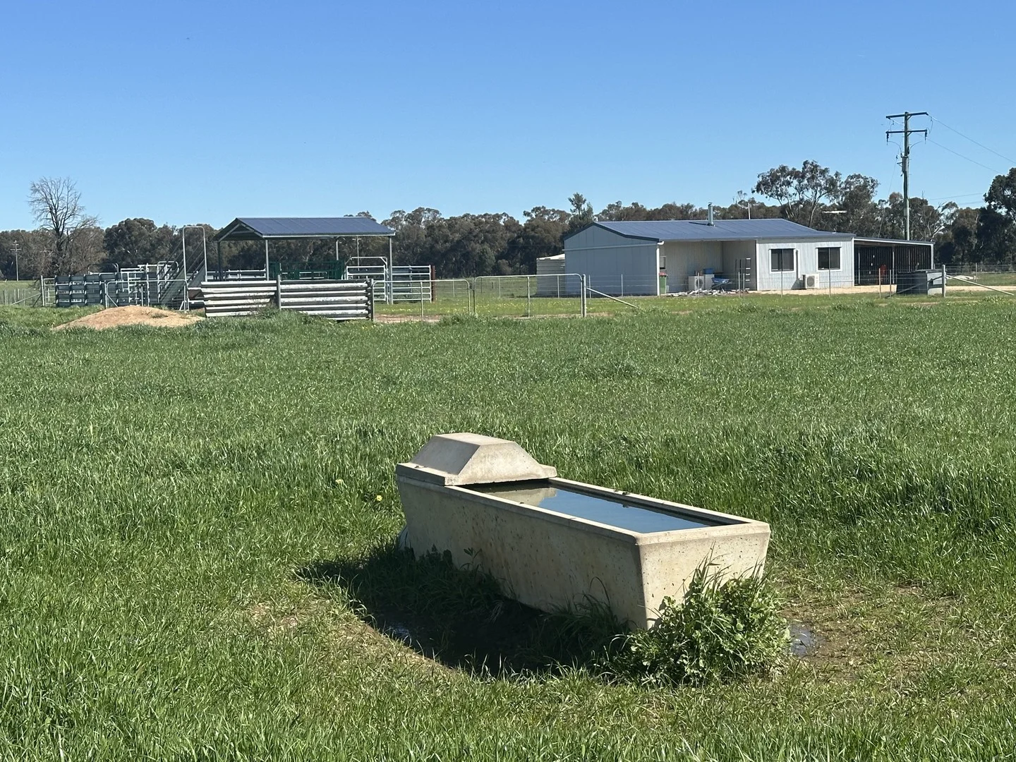 4332 Olympic Highway, Henty NSW 2658