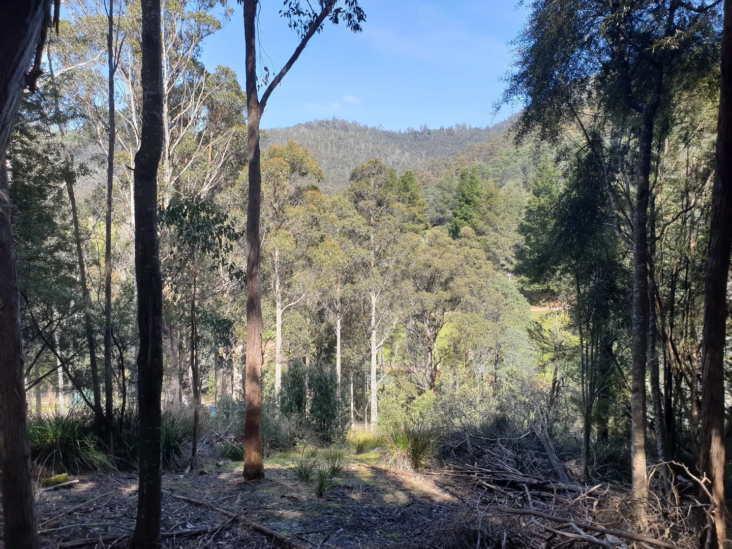 Additional image 22 of 362 Bakers Creek Road, Lucaston TAS 7109