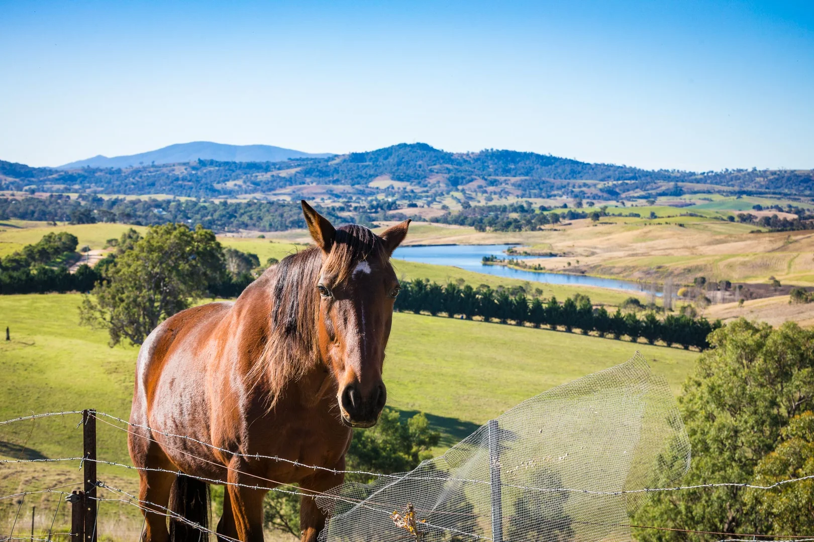 Additional image 5 of 136 Niagara Lane, Tantawangalo NSW 2550
