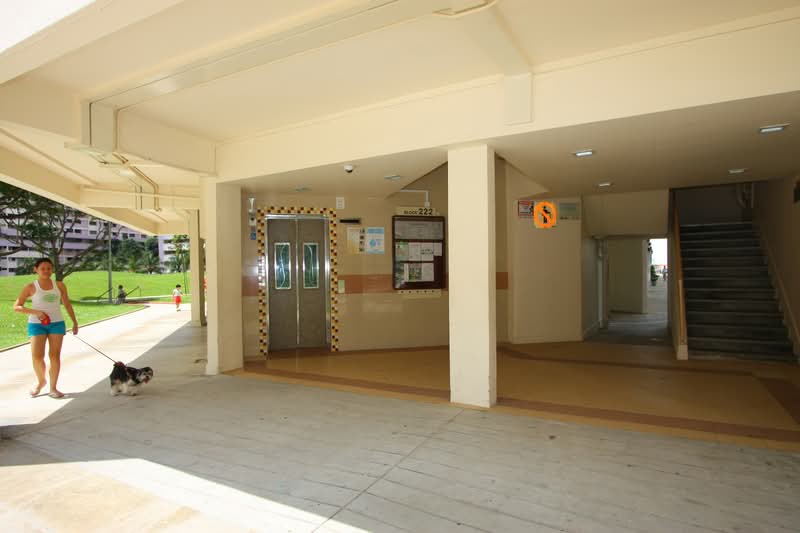 Additional image 10 of 222 Serangoon Avenue 4