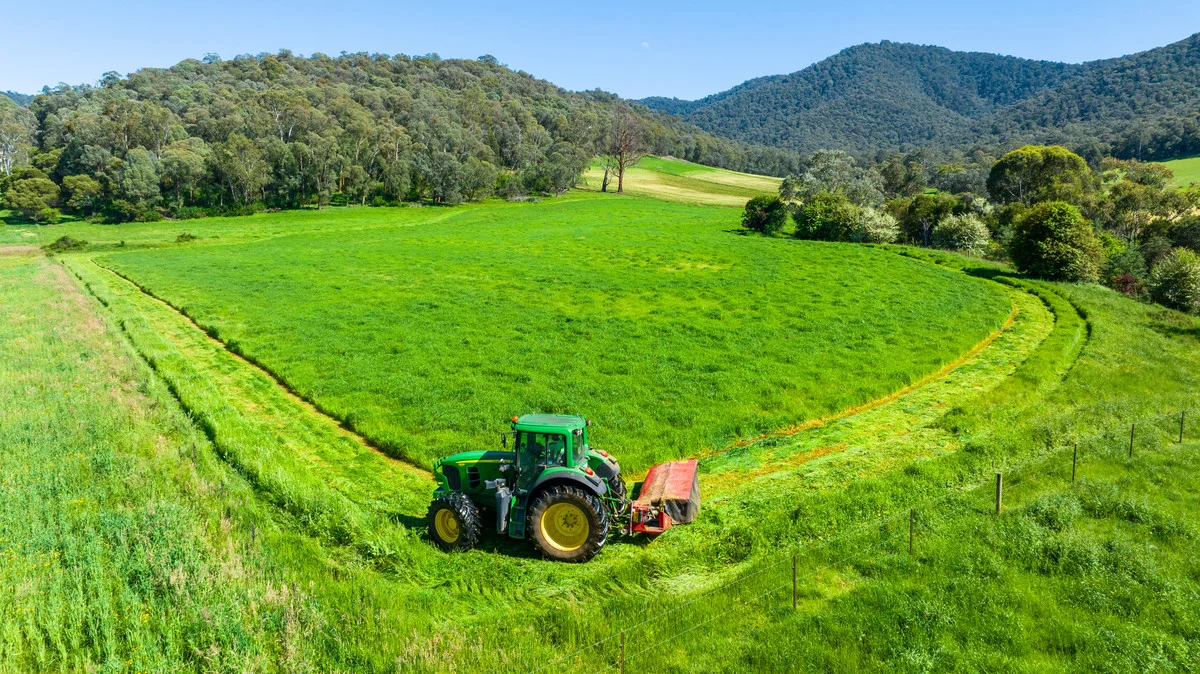 Additional image 9 of 3082 Omeo Highway, Tallandoon VIC 3701