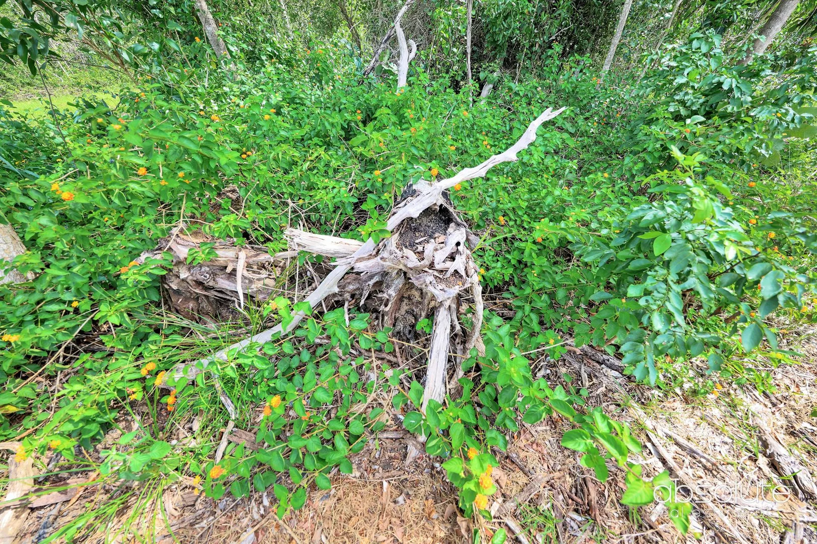 Additional image 5 of Lot 1969, 192 William Road, Berry Springs NT 0838