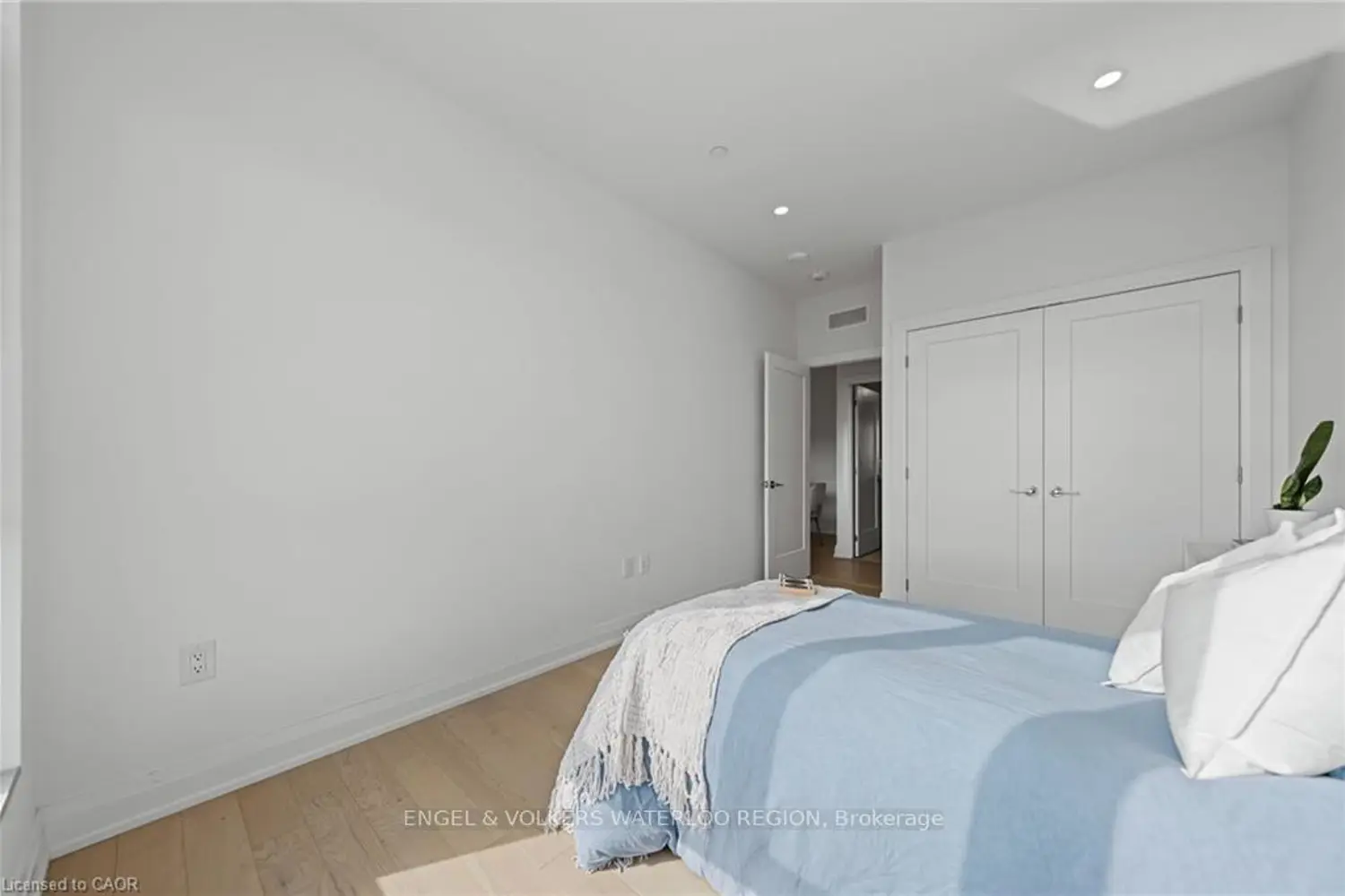 Additional image 12 of 71 Wyndham Street 601