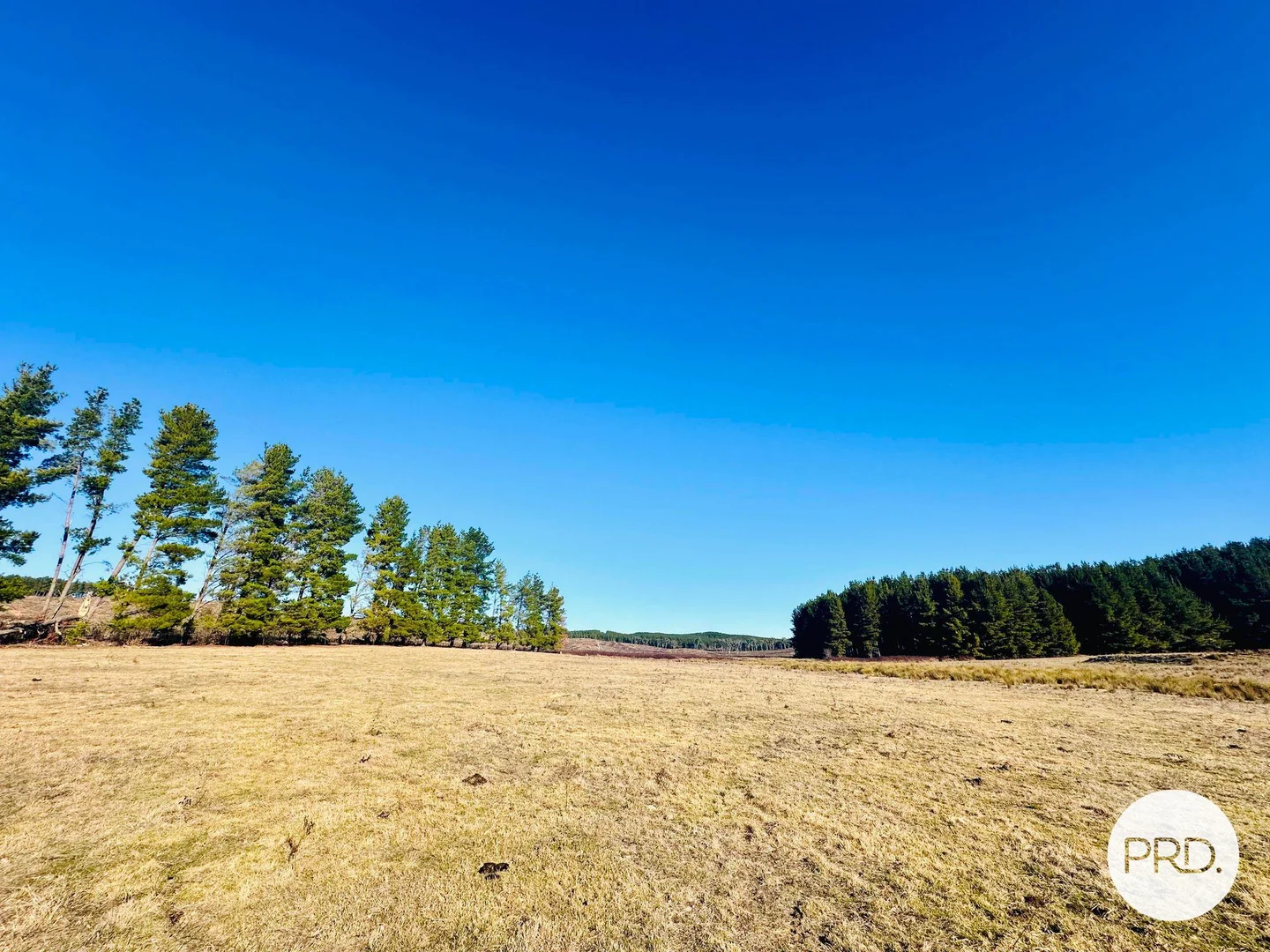 Additional image 19 of 233 Logans Road, Tumbarumba NSW 2653