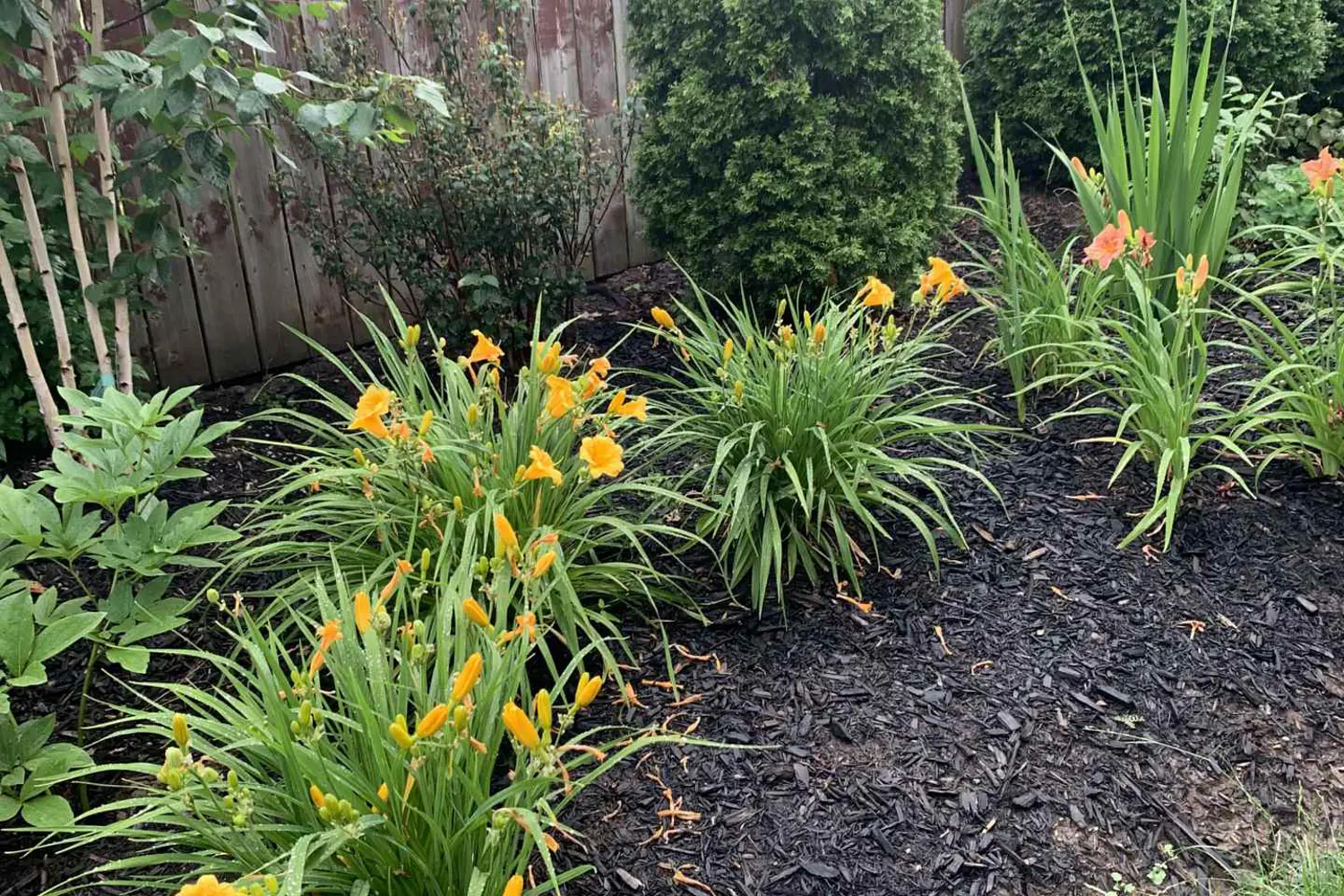 Additional image 3 of 1153 Kestell Boulevard