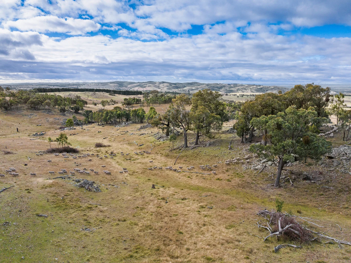 Additional image 13 of 1690 Cooks Hill Road, Yass NSW 2582