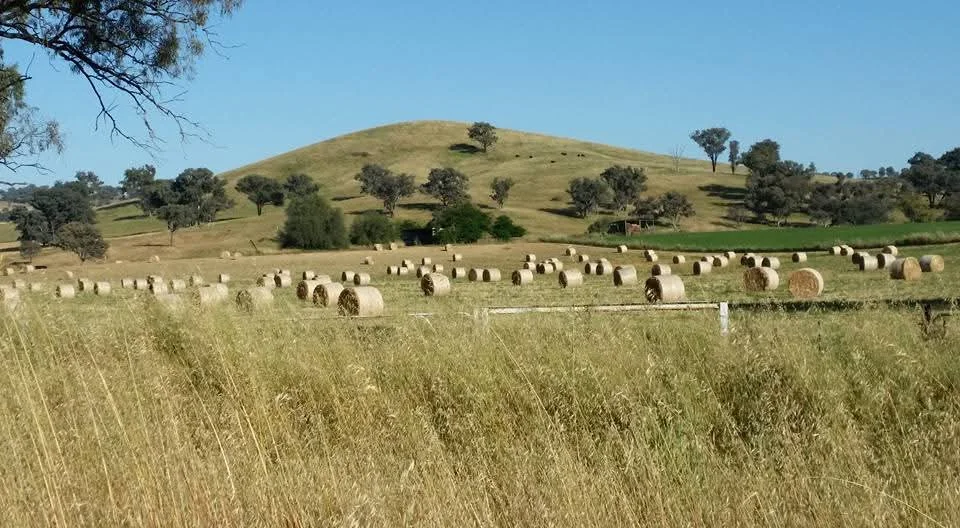Additional image 31 of 14 Packs Grant Road, Cowra NSW 2794