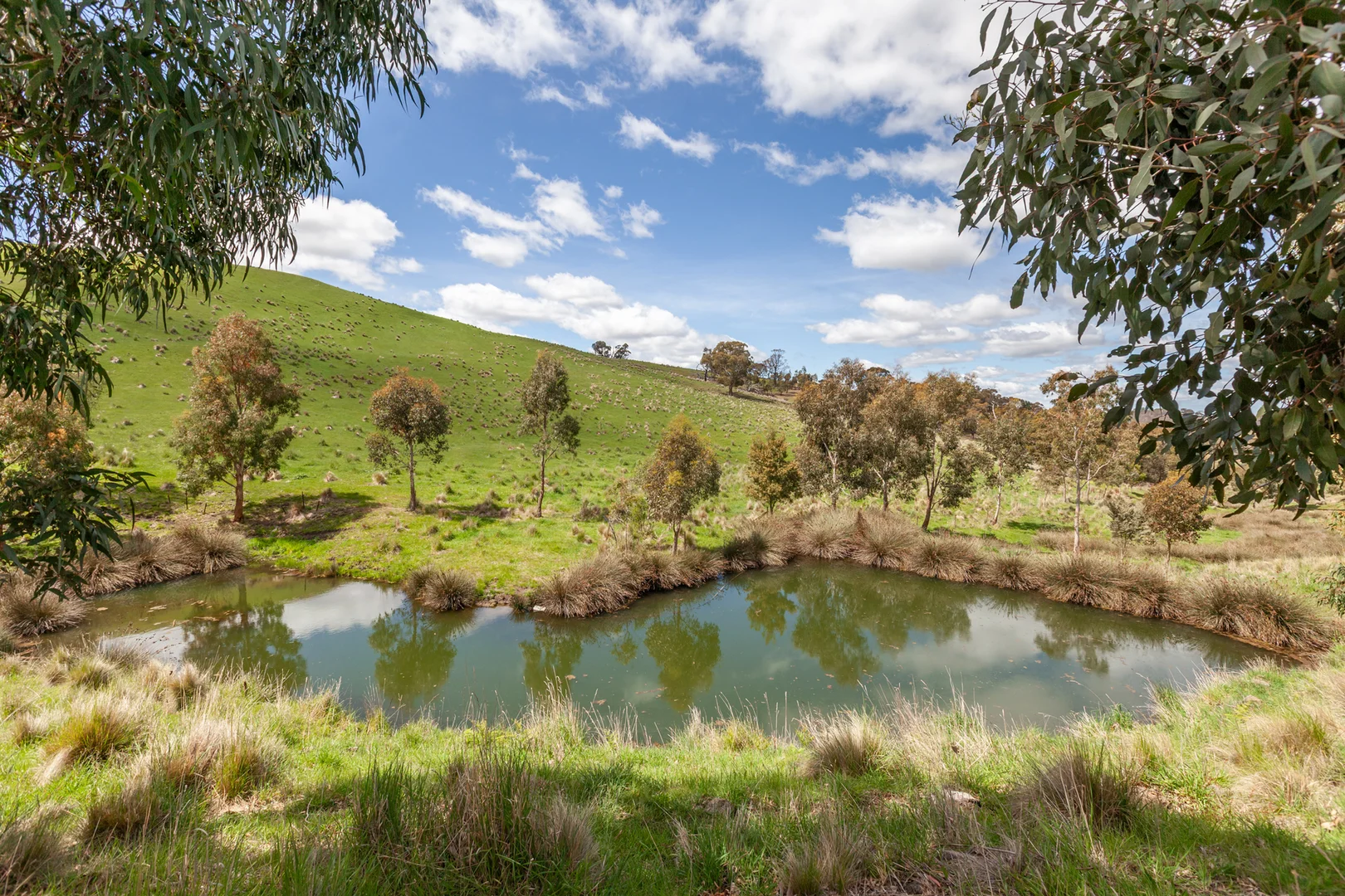 Additional image 8 of 35, 35A, 42 & 42A Romsey Road, Chintin VIC 3756