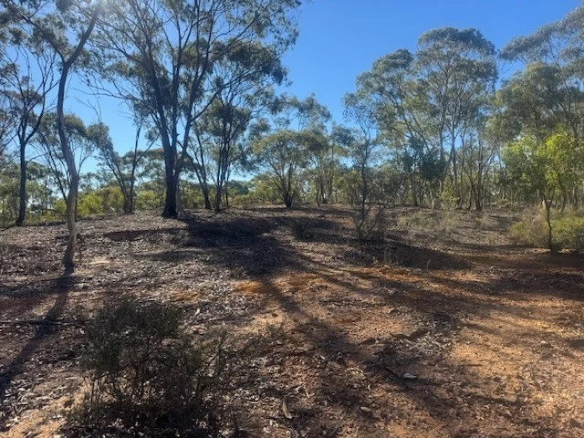 Additional image 9 of 2-20 Godfrey Street, Wedderburn VIC 3518
