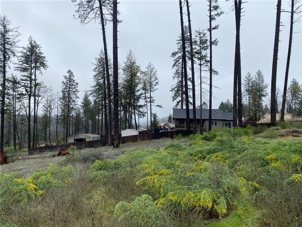 Additional image 38 of 8941 Skyway, Paradise, CA 95969