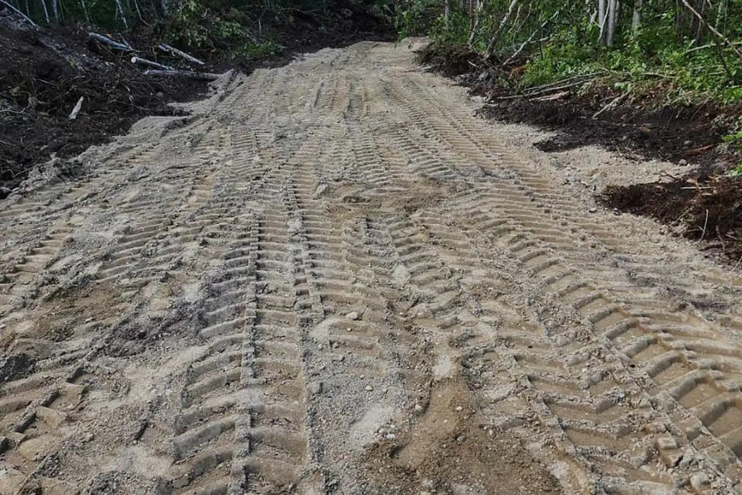 Additional image 10 of 320 Mcnee Road