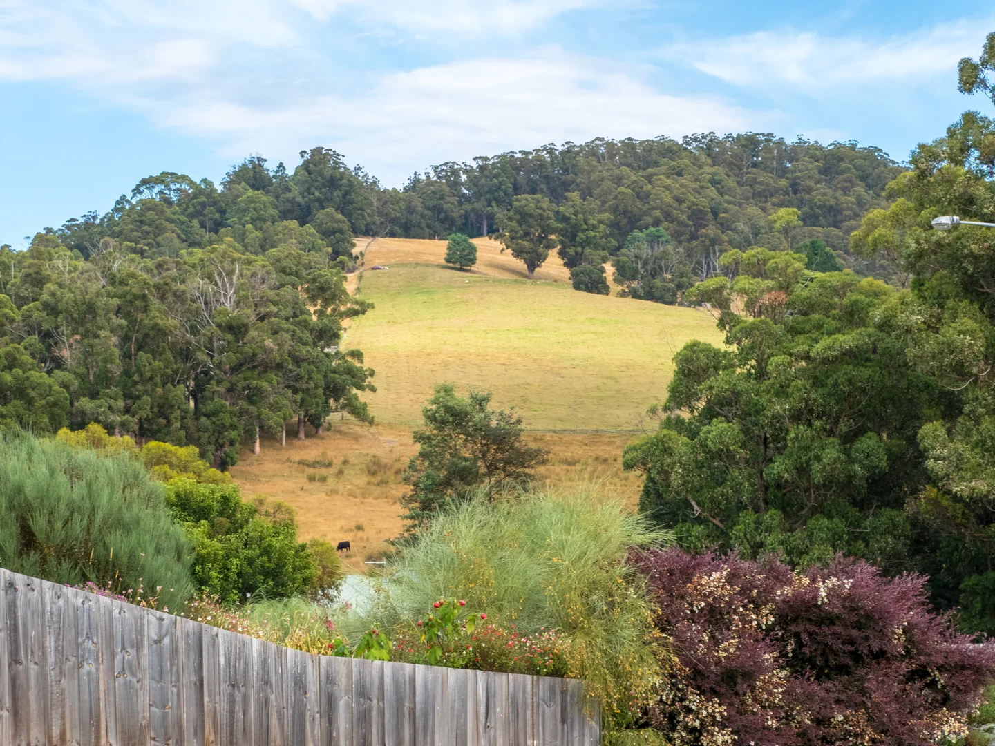 Additional image 11 of 7 Devereaux Court, Cygnet TAS 7112