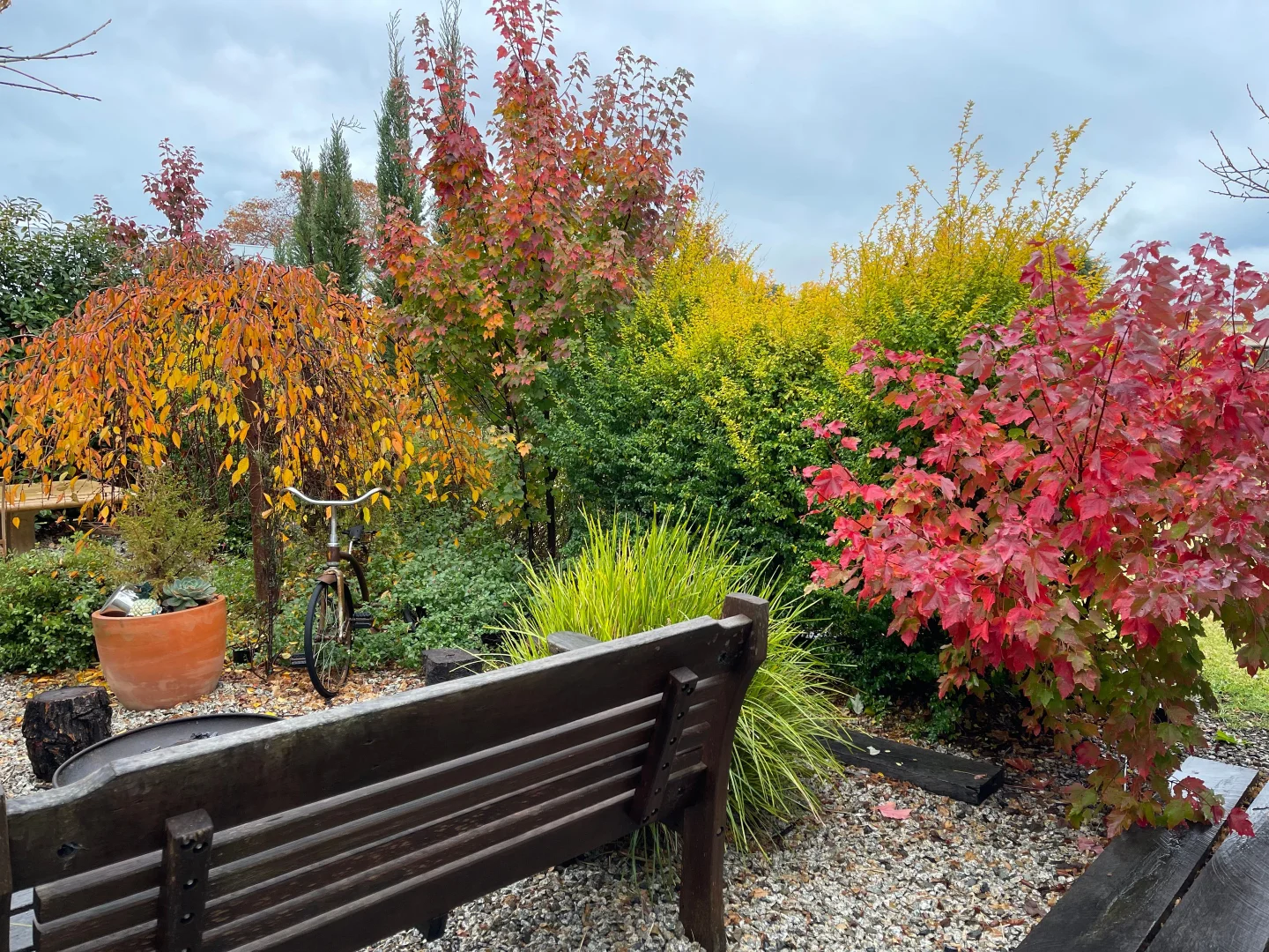 Additional image 16 of 100 MOLESWORTH STREET, Tenterfield NSW 2372