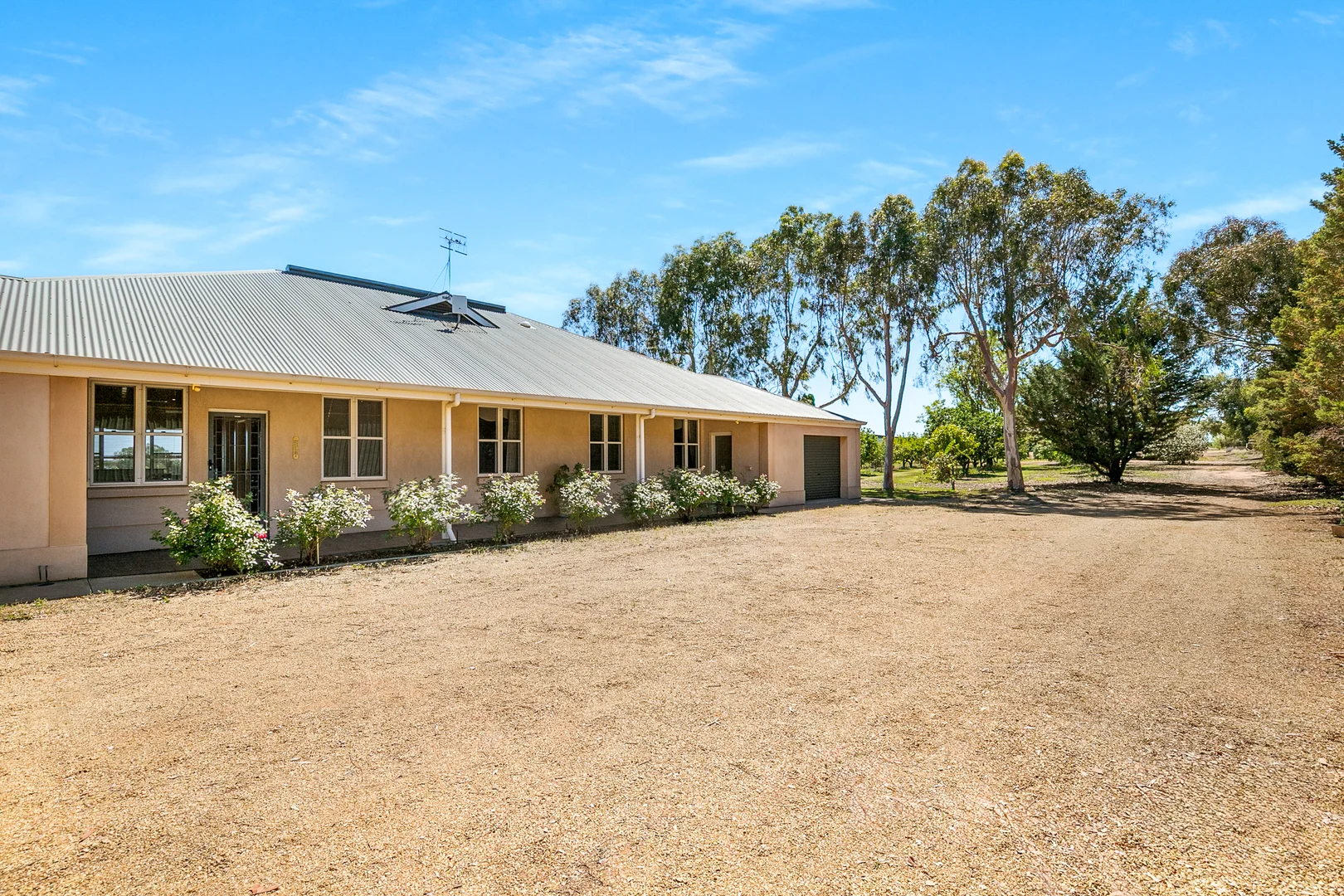 Additional image 32 of 17356 Sturt Highway, Barmera SA 5345