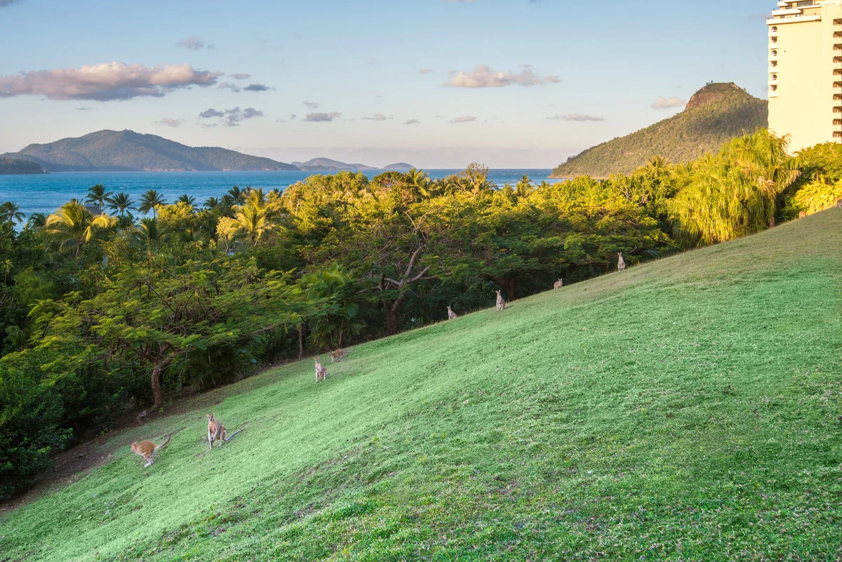 Additional image 12 of Poinciana 004/2 Marina Drive, Hamilton Island QLD 4803