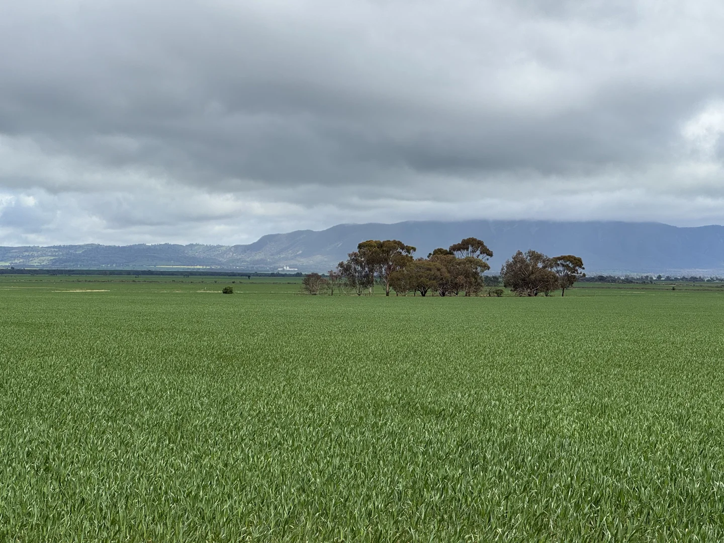 Additional image 9 of 434 Schmidt Road, Willowie SA 5431