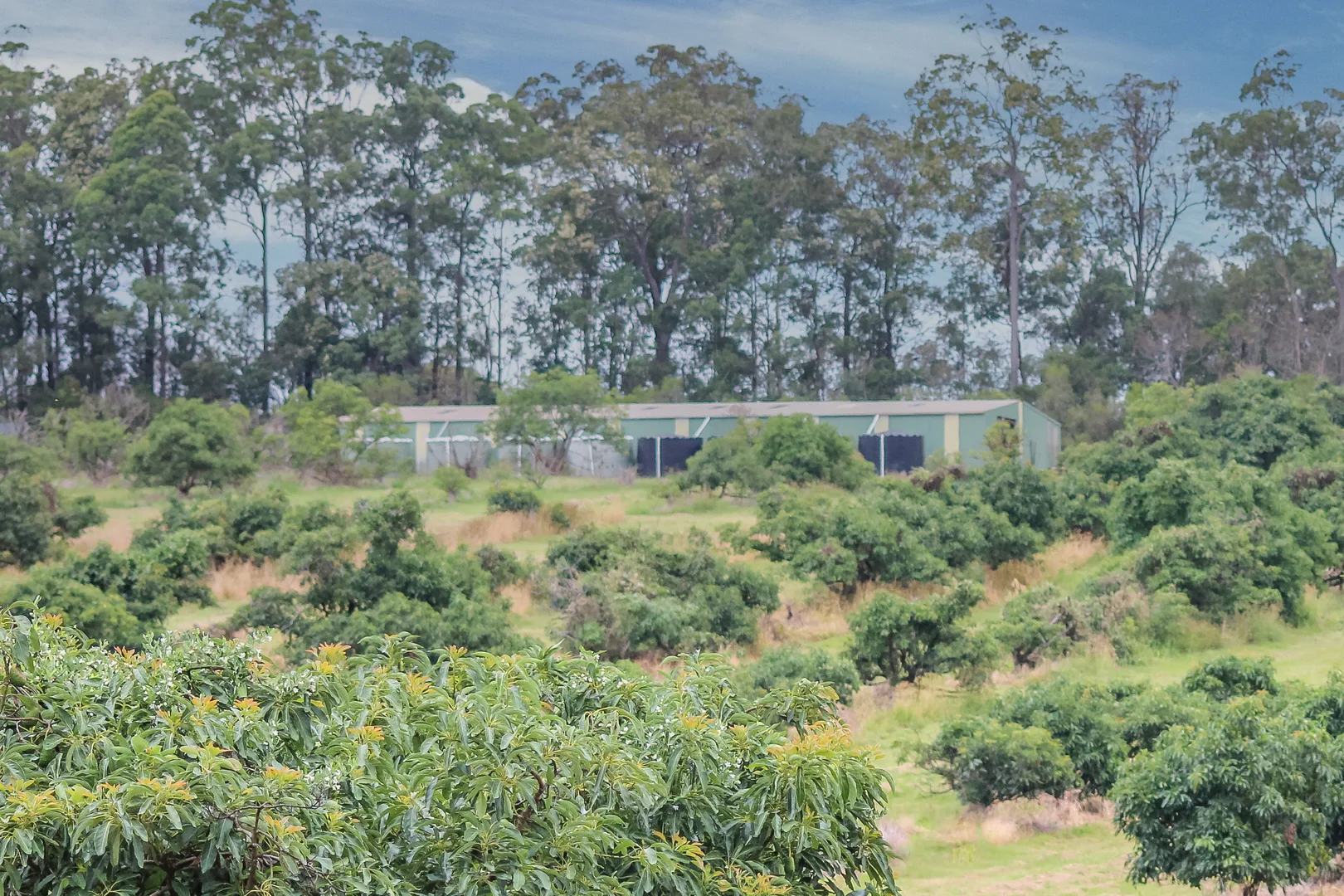 Additional image 40 of 107 Cherry Creek Road, Cherry Creek QLD 4314