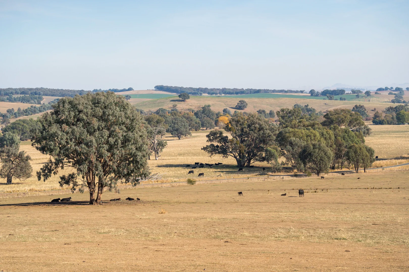 Additional image 8 of 979 Four Mile Lane, Little Billabong NSW 2644