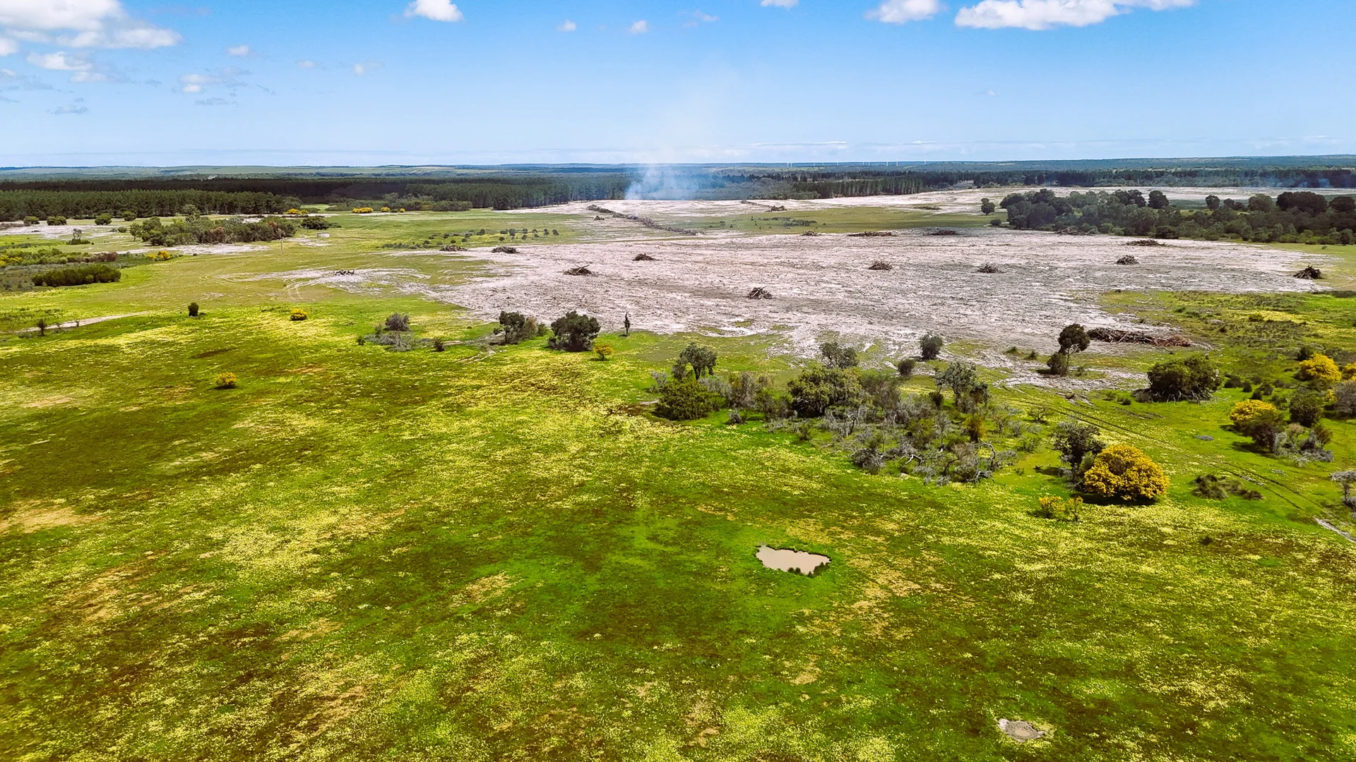 Additional image 9 of 2240 Mimegarra Road, Mimegarra WA 6507