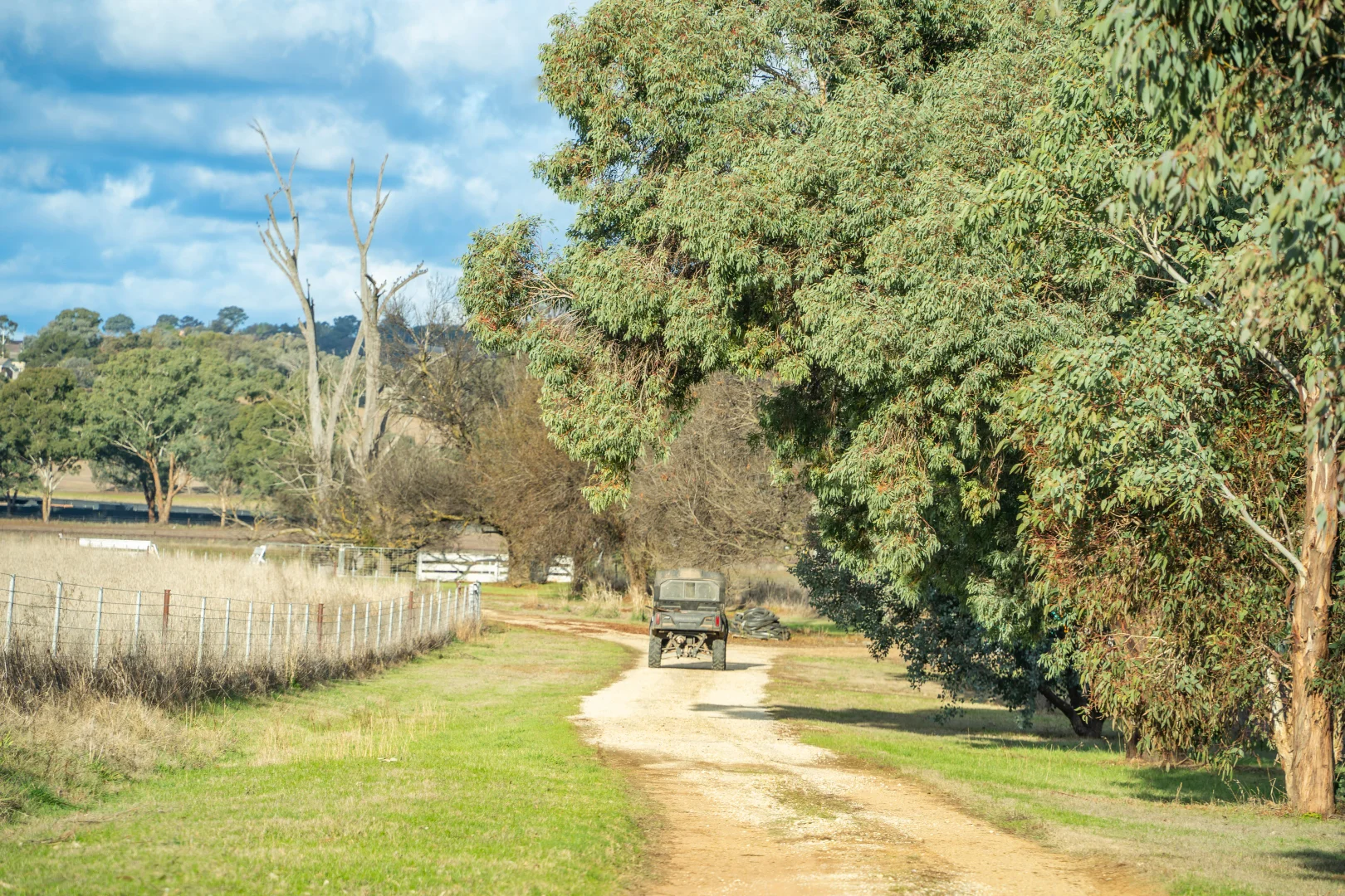 Additional image 39 of 14 Packs Grant Road, Cowra NSW 2794