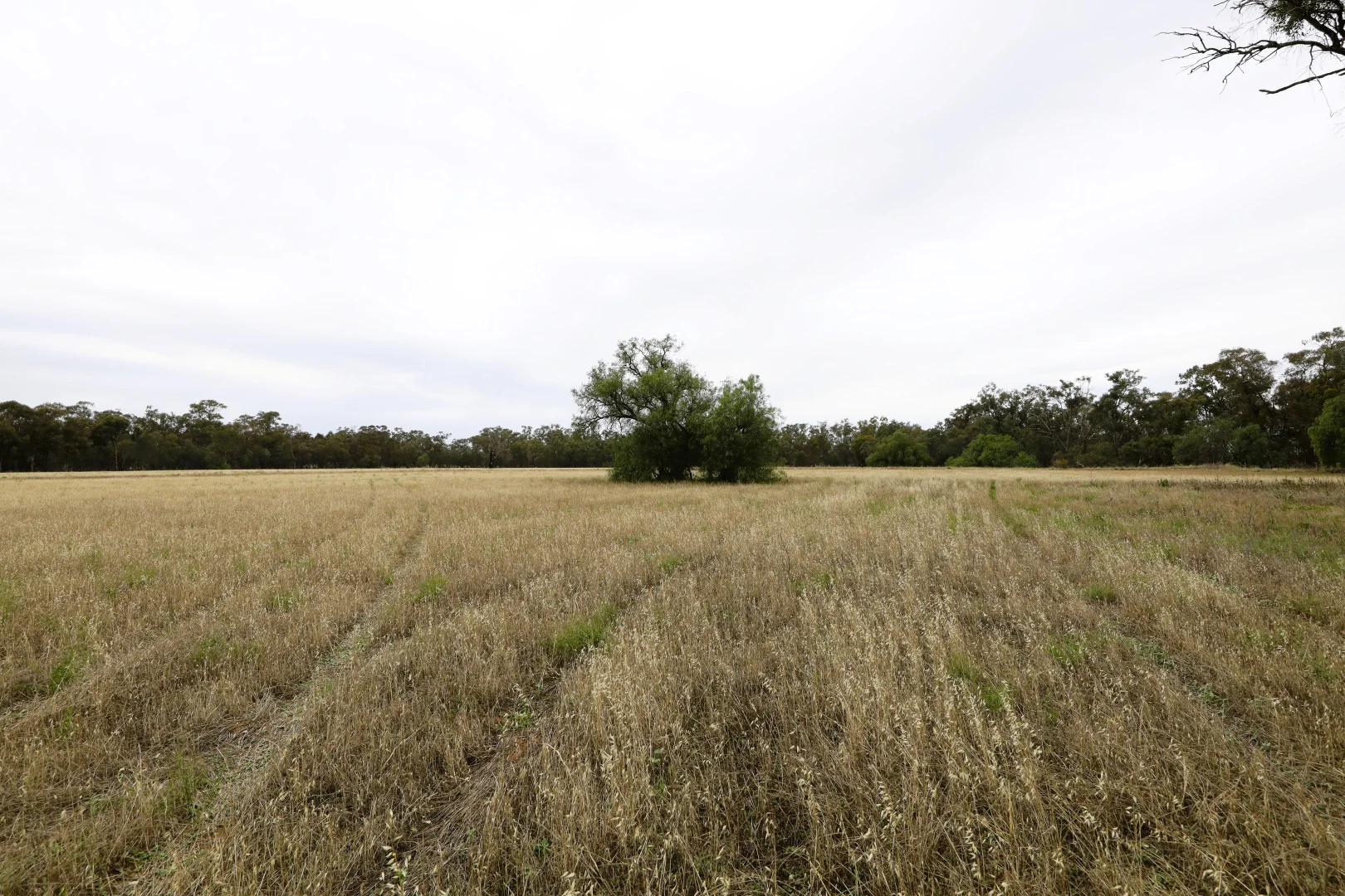 Additional image 4 of 83 Gribben Road, Invergordon VIC 3636