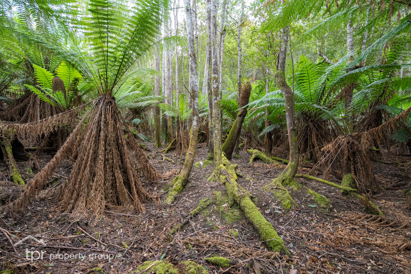 Additional image 19 of Lot 1 Cairns Road, Surges Bay TAS 7116