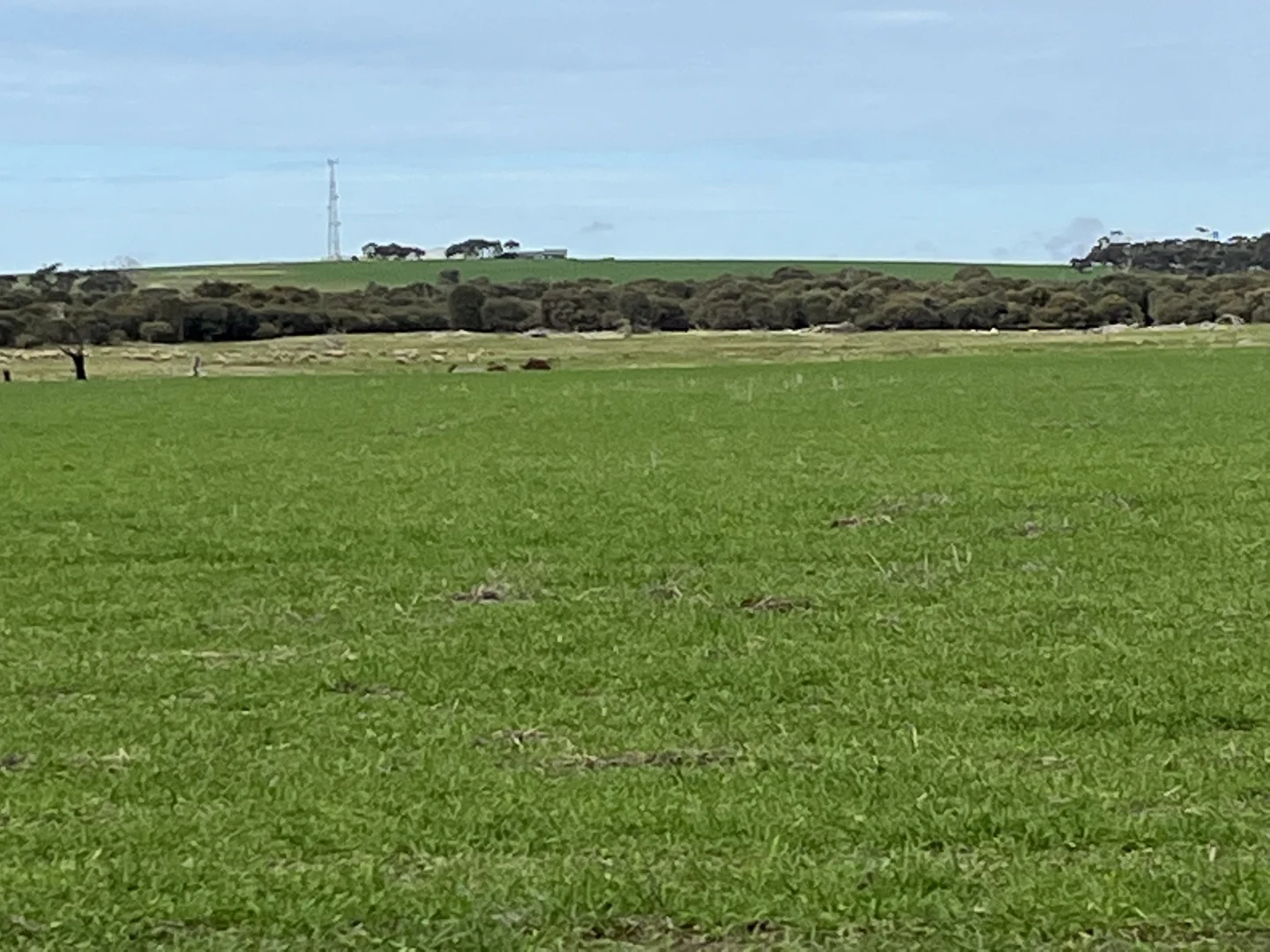 Additional image 10 of 105 Tod Highway, Fountain SA 5607