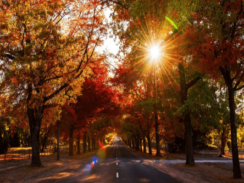 Additional image 17 of Ambrosia Estate, Kyneton VIC 3444