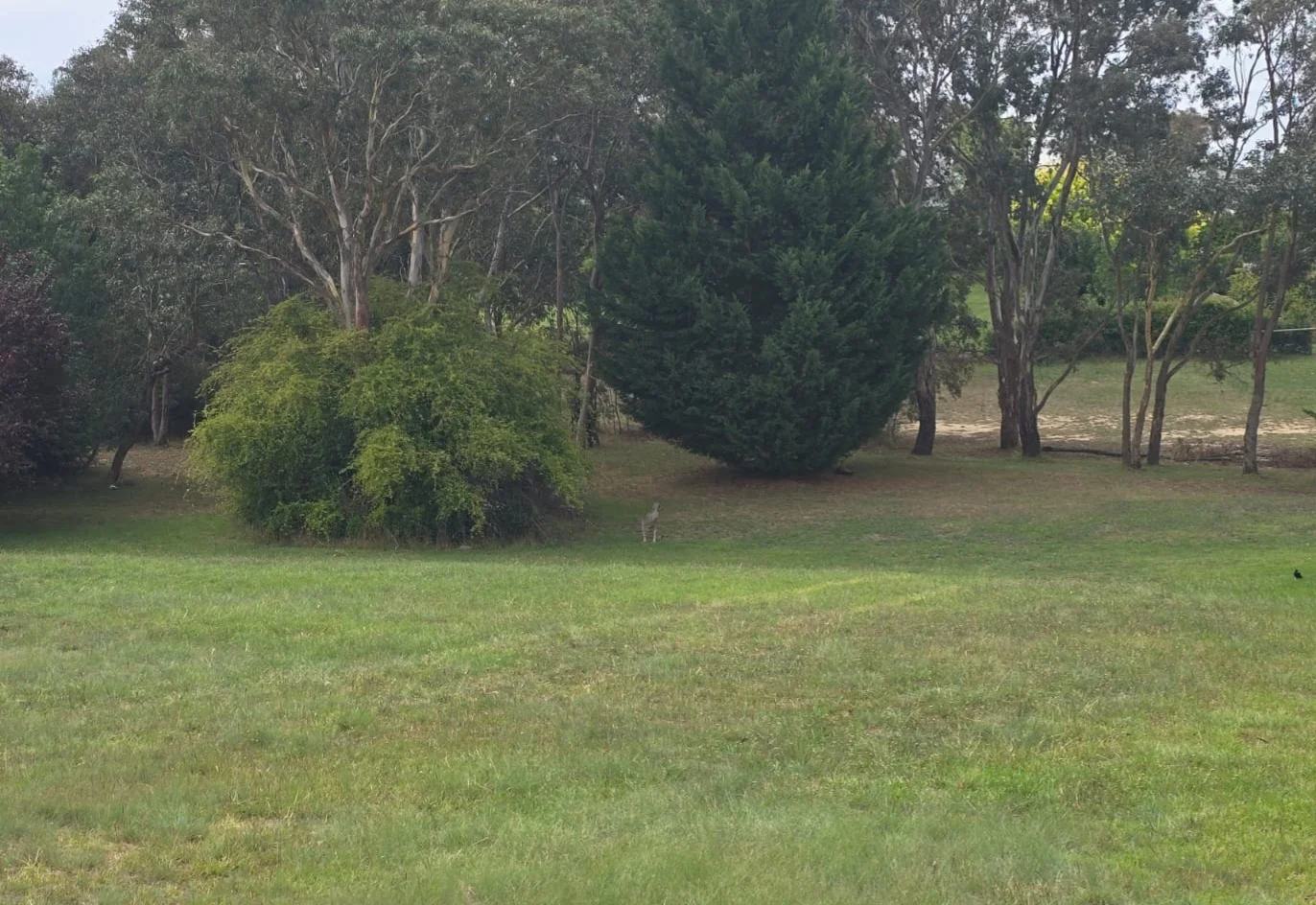 Additional image 3 of 13 Carramar Way, Goulburn NSW 2580