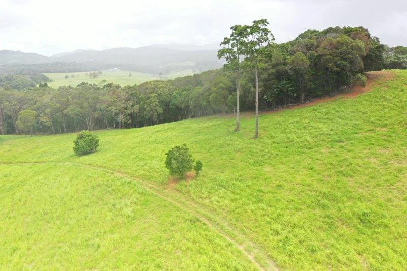 Additional image 25 of 1297 Mossman-Mount Molloy Road, Julatten QLD 4871