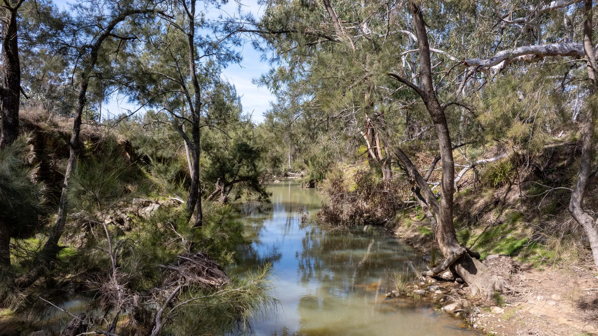 Additional image 6 of Lot 179, 82 Windgraves Road, Mudgee NSW 2850