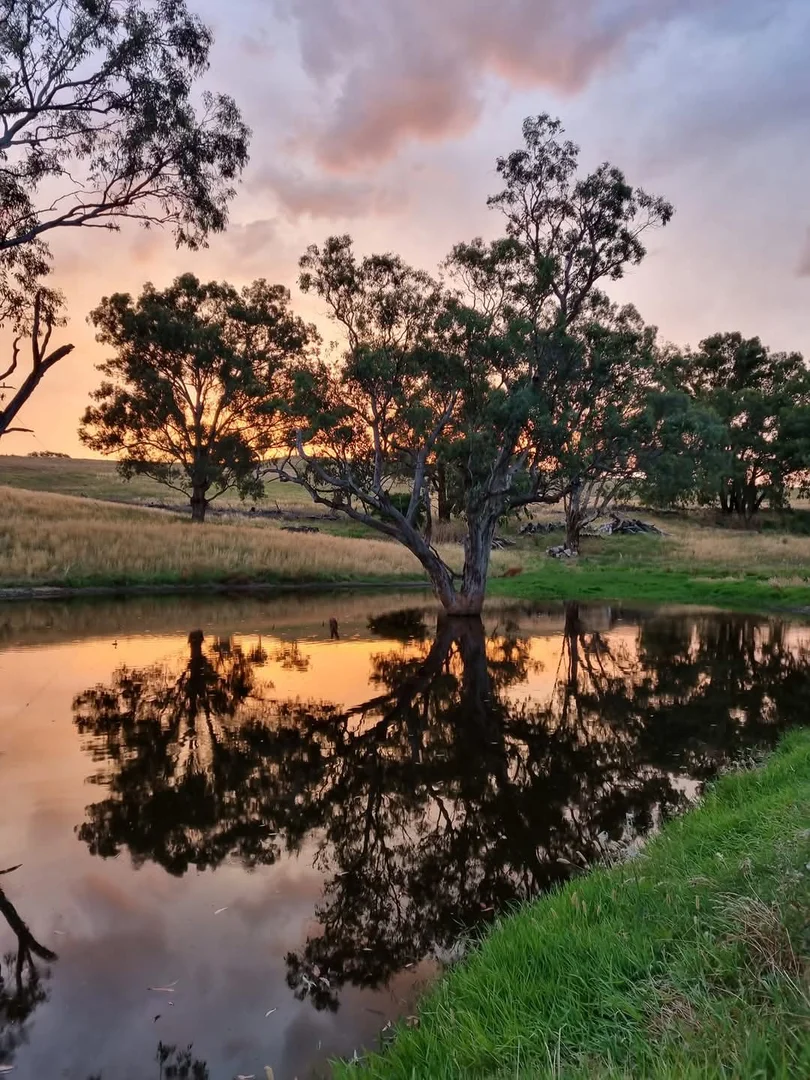 Additional image 26 of 14 Packs Grant Road, Cowra NSW 2794
