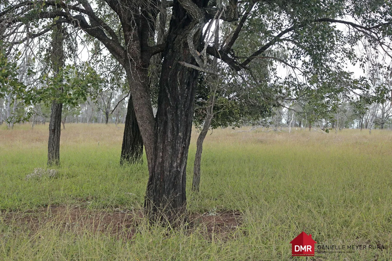 Additional image 16 of Lot 33-35 Bilboolan Road, Eidsvold QLD 4627