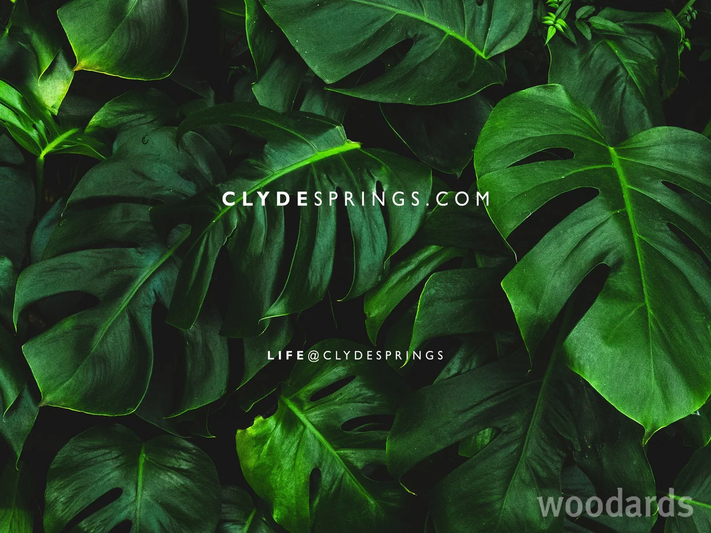 Additional image 8 of 45 Growling Grass Drive, Clyde North VIC 3978