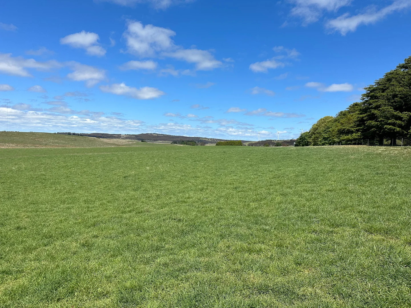 Additional image 16 of Gurrundah Road, Gunning NSW 2581