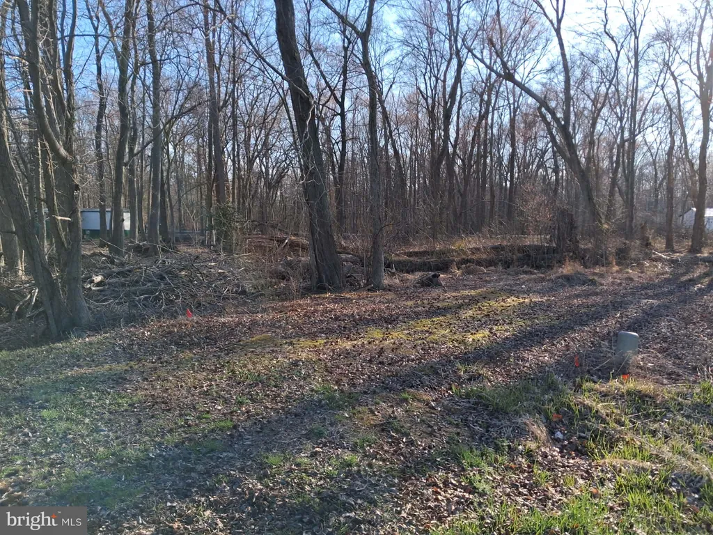 Additional image 5 of Misty Way, Hartly, DE 19953