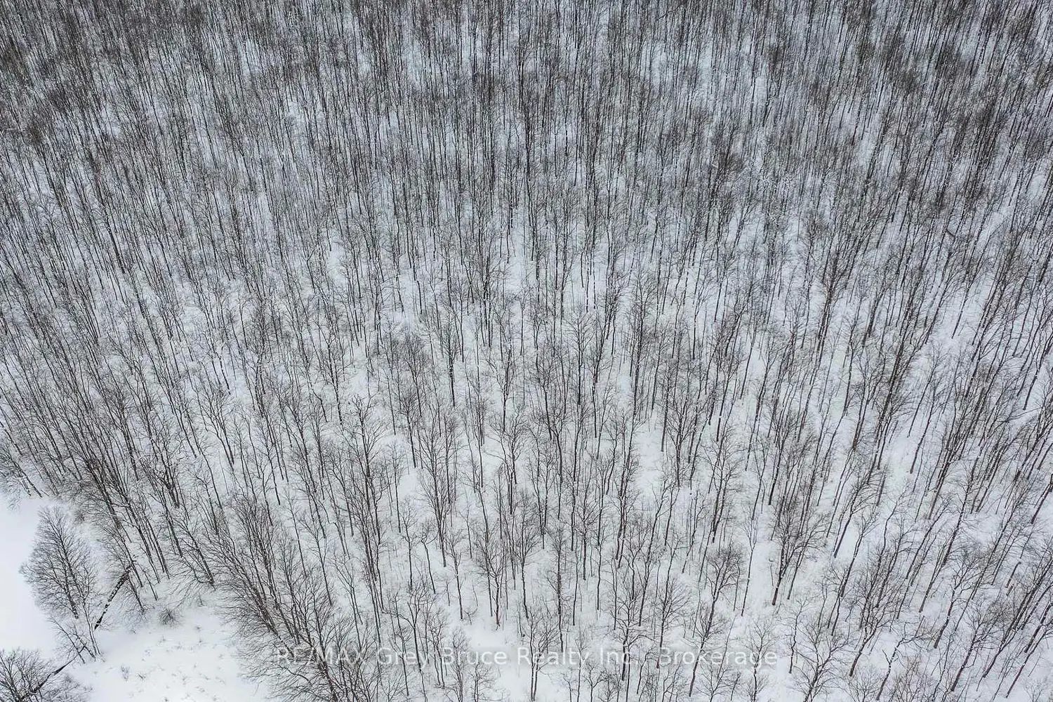 Additional image 15 of Lt 34 Con 23, Concession 24