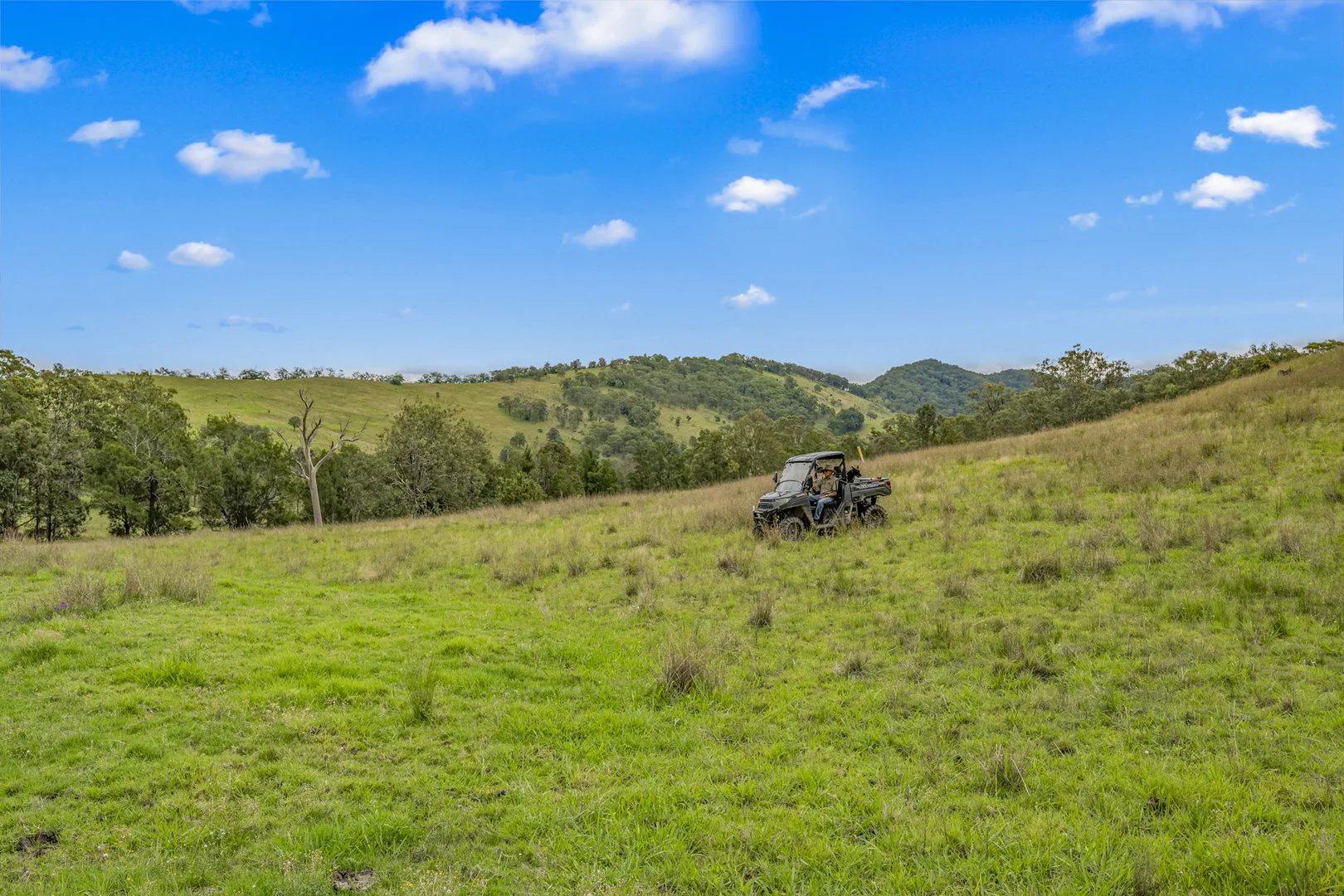 Additional image 10 of Carrowbrook Road Mount Olive, Singleton NSW 2330