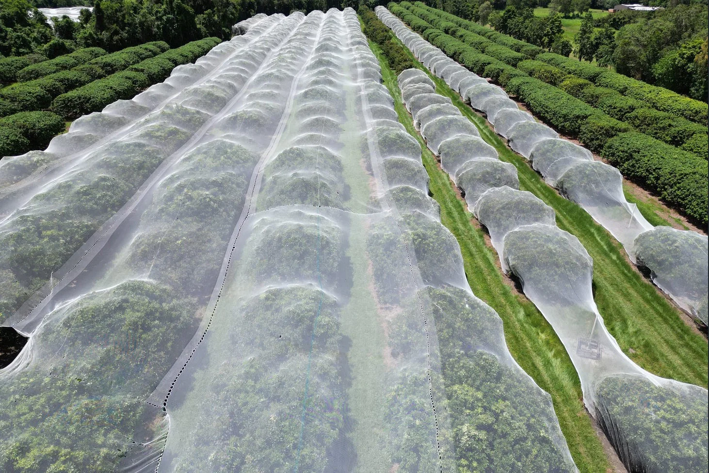 Additional image 30 of 281 Dingo Pocket Rd, Dingo Pocket QLD 4854