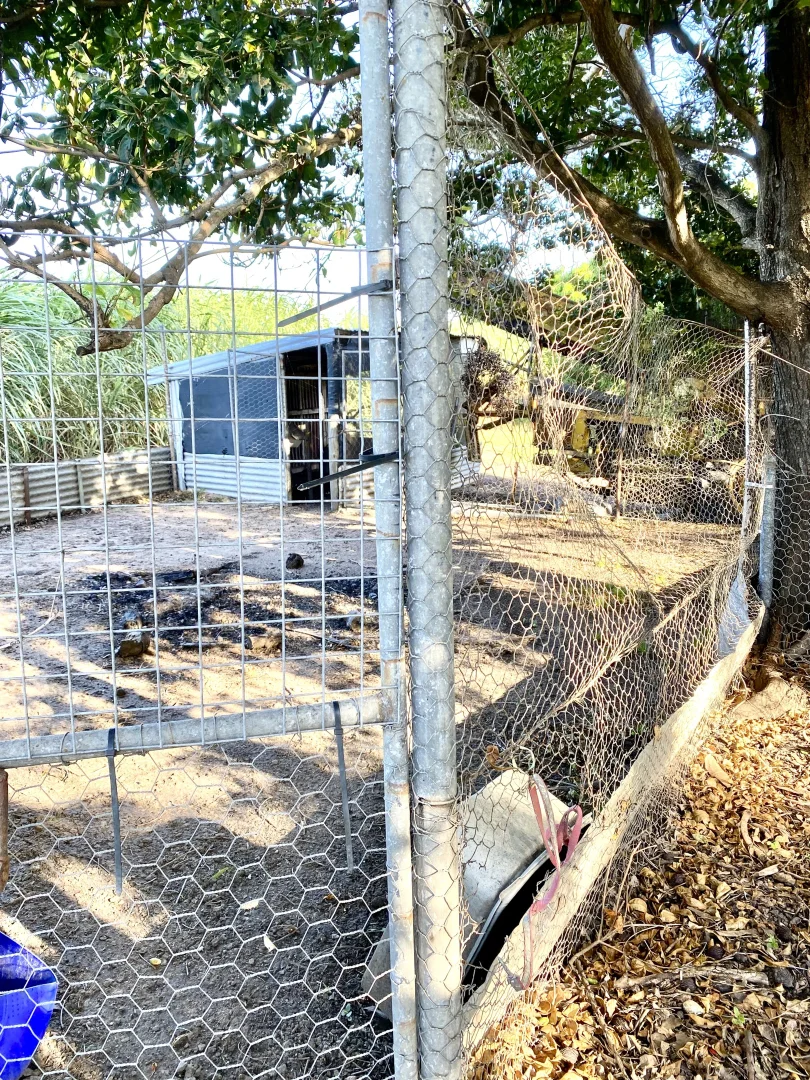 Additional image 24 of 67 Hillier Road, Brandon QLD 4808