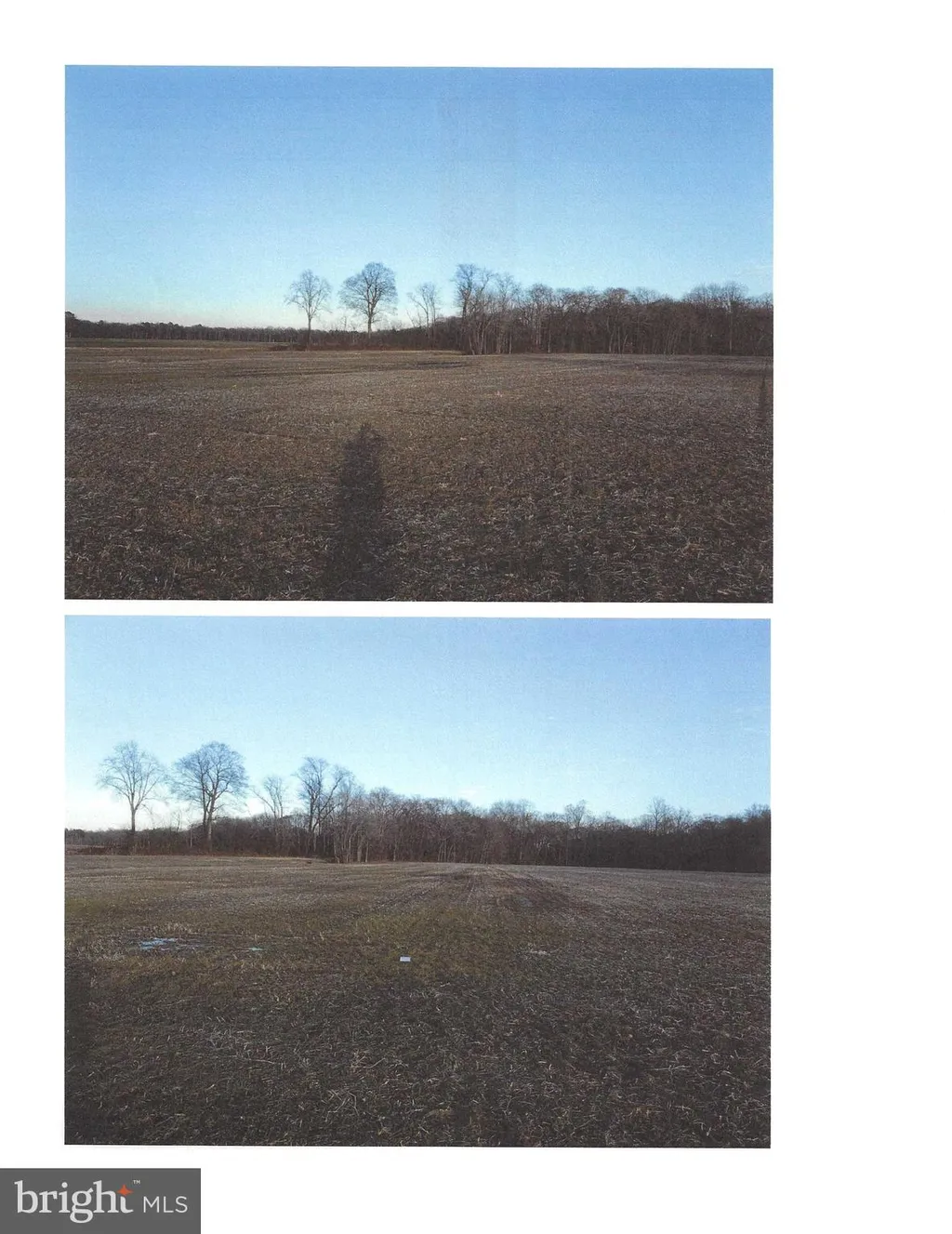 Additional image 4 of 1389 Cedar Grove Church Road, Felton, DE 19943