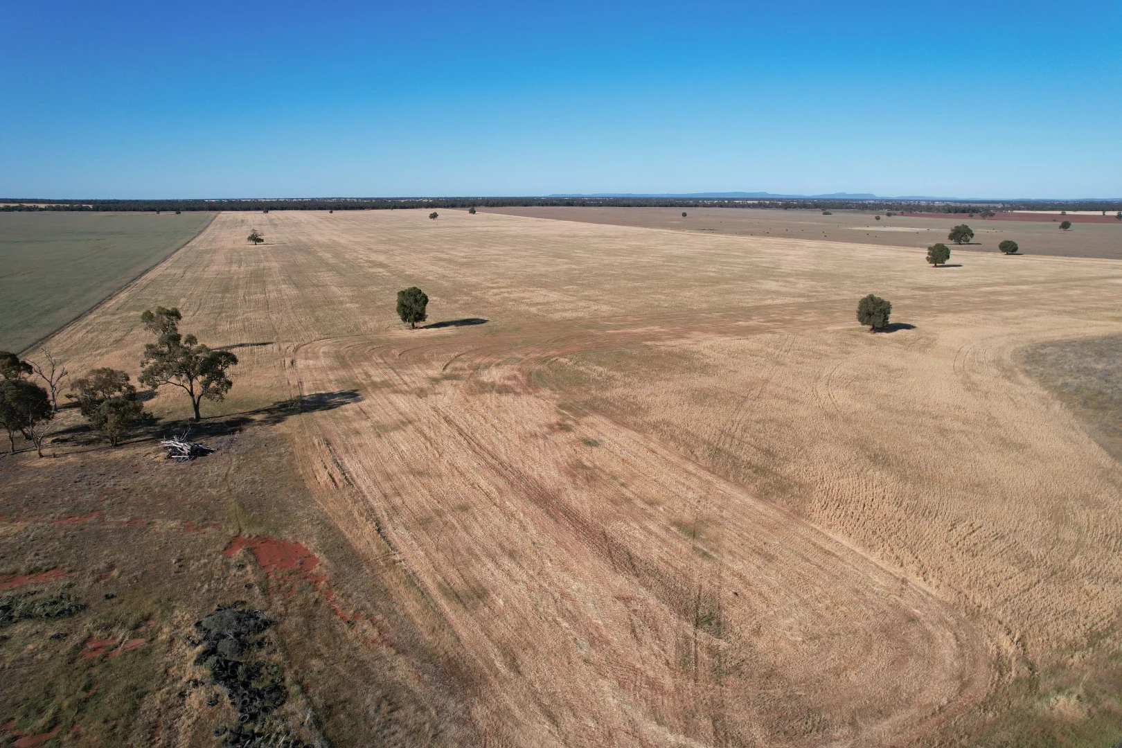 Additional image 14 of 'Boree Glen' 456 Whymarks Lane, Tullibigeal NSW 2669