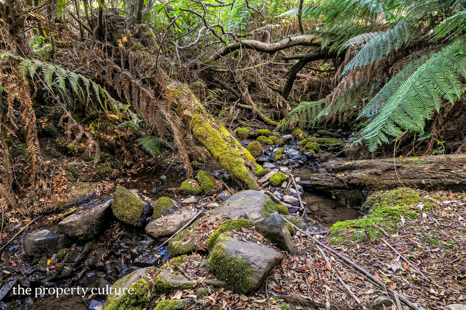 Additional image 20 of 126 New Road, Franklin TAS 7113