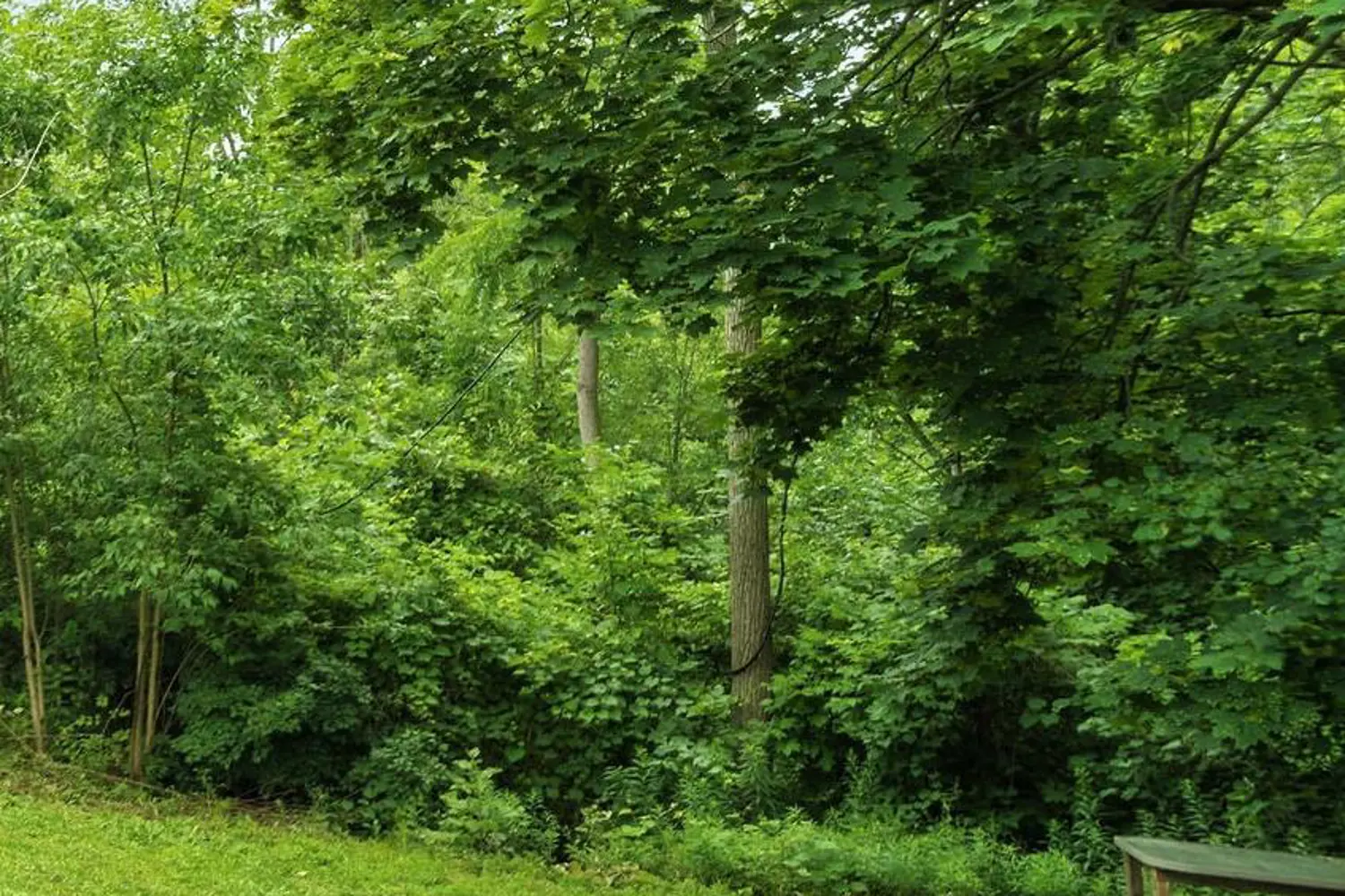 Additional image 15 of 38 Woodrow Street