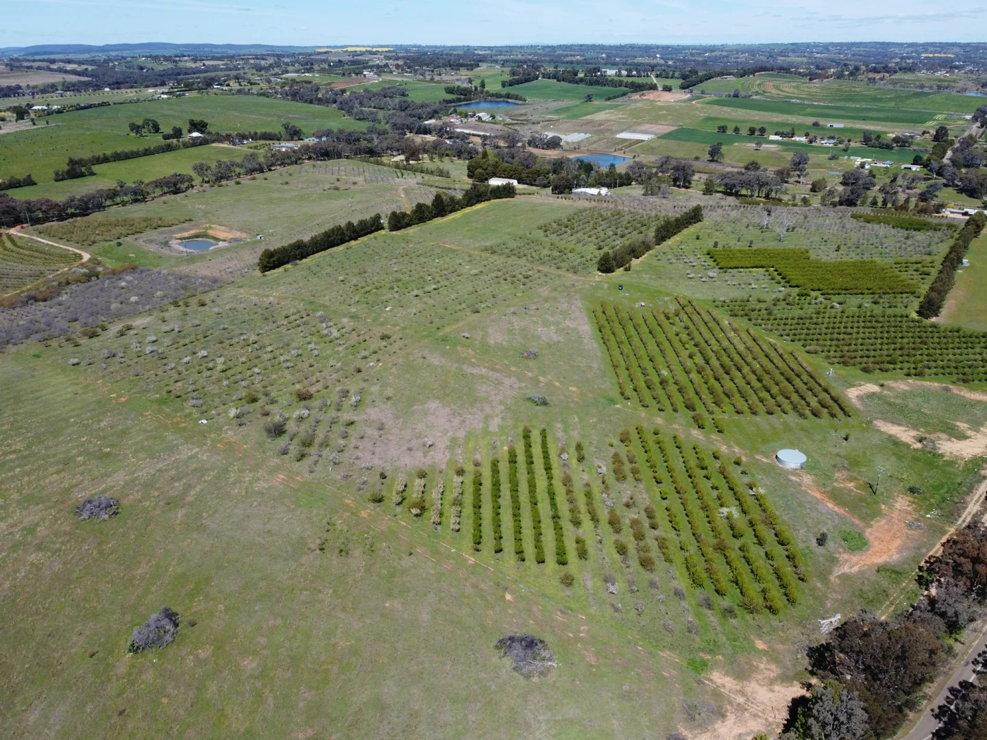 Additional image 6 of 264 Scenic Road, Young NSW 2594