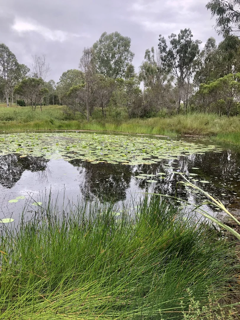 Additional image 9 of l3/4 Ferry Road, Rosedale QLD 4674