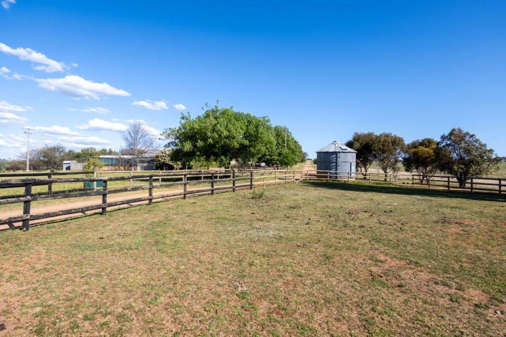 Additional image 29 of 251 Pattersons Lane, Young NSW 2594